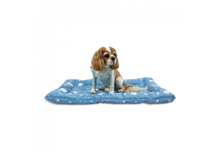 Cooling Beds for Dogs