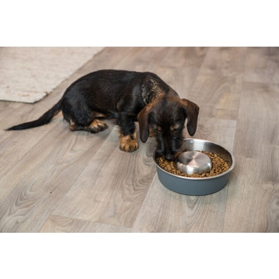 Stainless Steel Slow Feed Dog Bowl