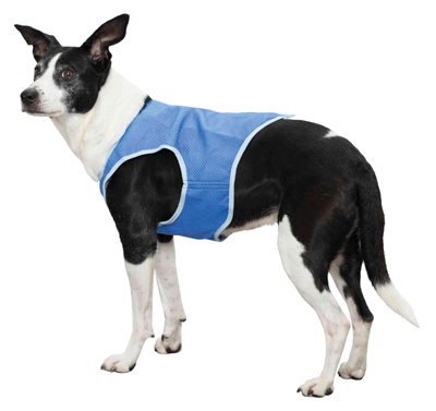 Cooling Coats for Dogs