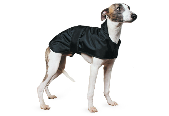 Whippet Dogs Coats