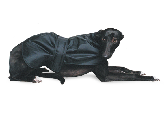 Greyhound Dog Coats