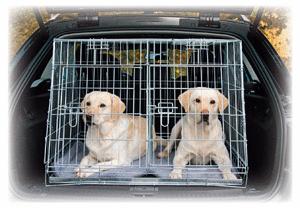 Dog Car Cages