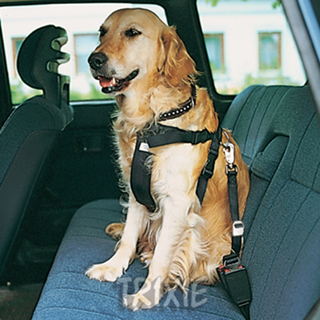 Car Seat Belt for Dogs