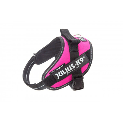 Dark Pink Julius IDC Dog Harness