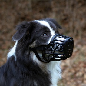 Plastic Dog Muzzle