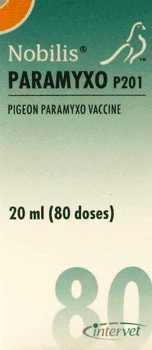 Nobilis pigeon vaccine