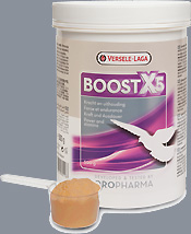 Oropharma Boost X5 for Pigeon Stamina
