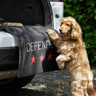 Car Boot Defender Dog Rug