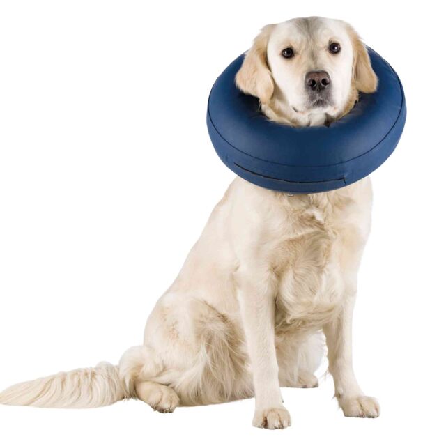 Inflatable Dog Collars