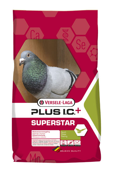 Superstar Plus